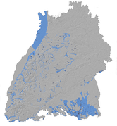 overview