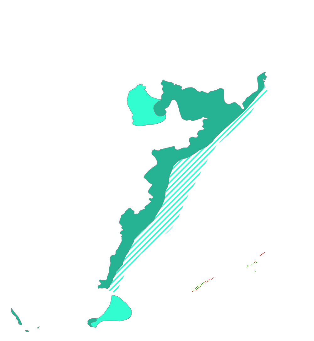 overview